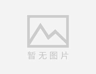 ibooster电机